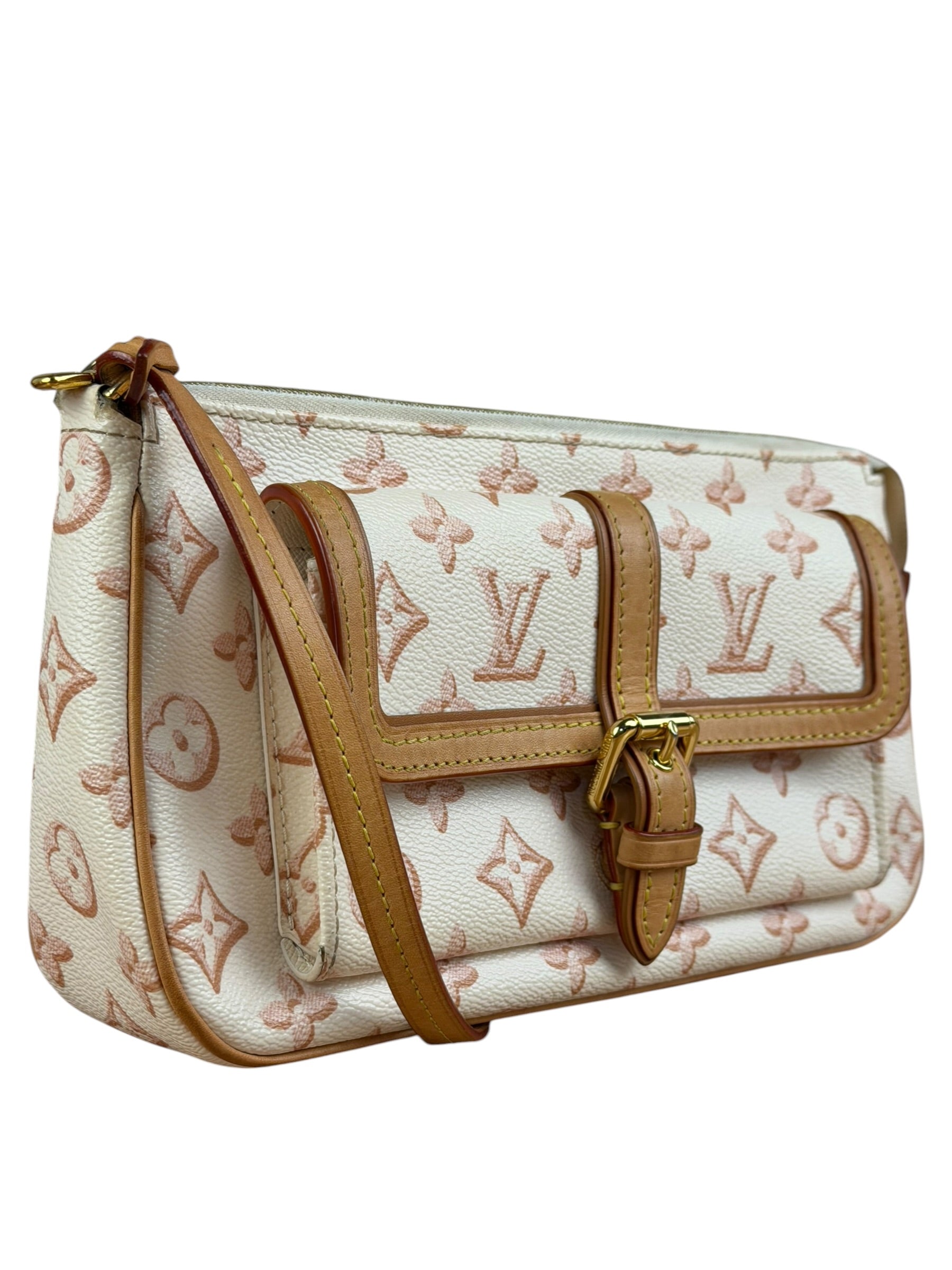 Louis Vuitton Monogram Maxi Multi Pochette