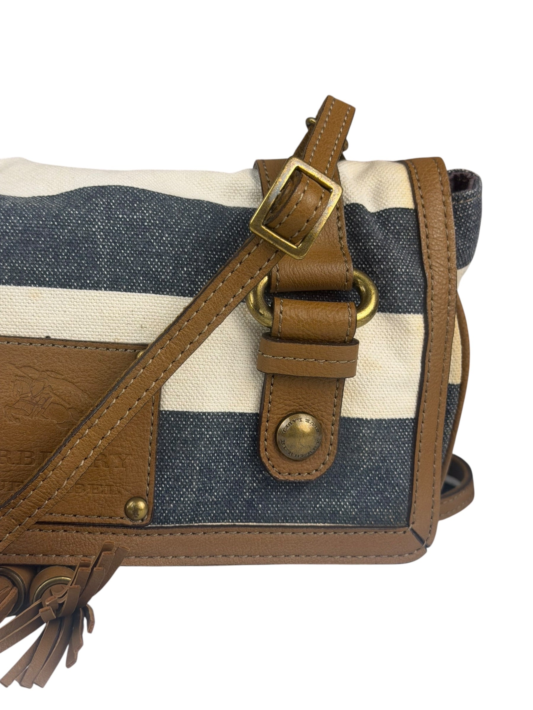 Burberrry Multicolor Leather Trim Striped Crossbody Bag