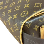 Louis Vuitton Monogram Messenger Bag