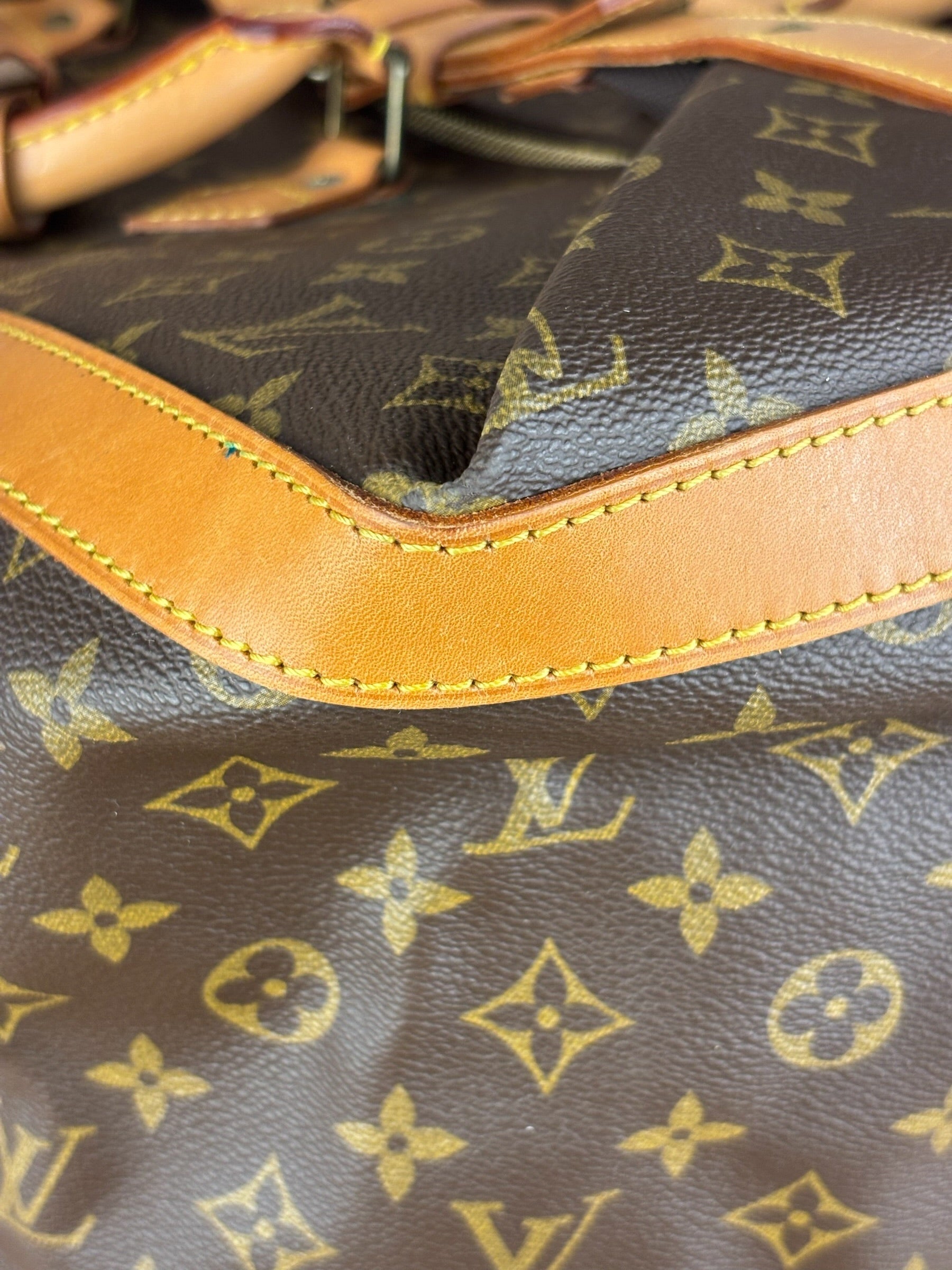 Louis Vuitton Monogram Cruiser Bag