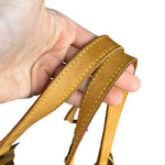 Louis Vuitton Monogram Excursion Handbag