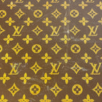 Louis Vuitton Vintage Monogram Hard Case Luggage Trunk