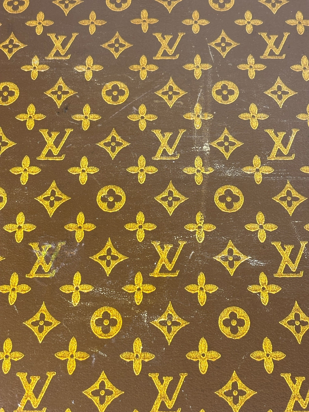 Louis Vuitton Vintage Monogram Hard Case Luggage Trunk