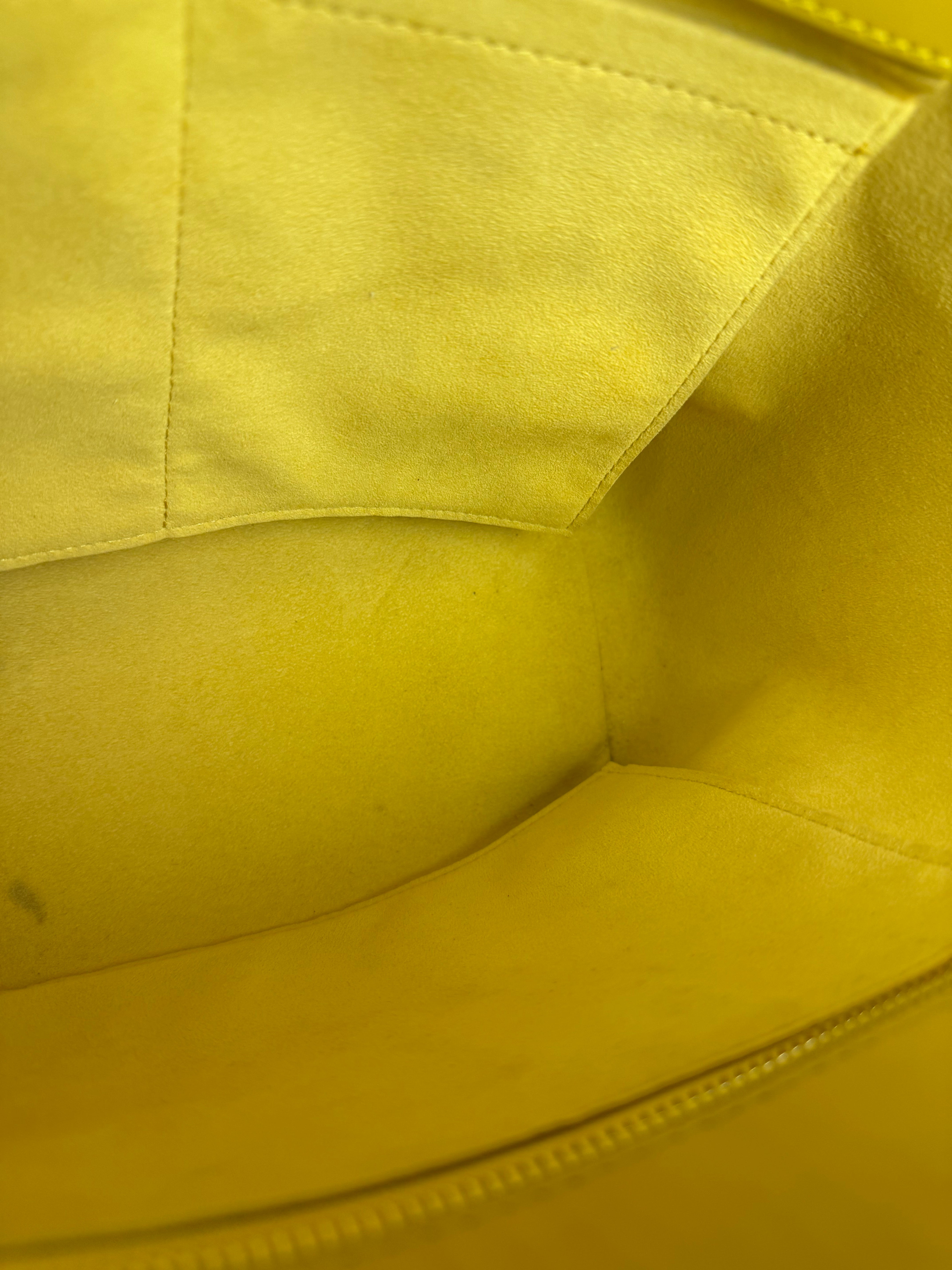 Louis Vuitton Monogram Yellow Phenix PM 2Way Bag
