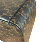 Celine Triomphe Square Vanity Case