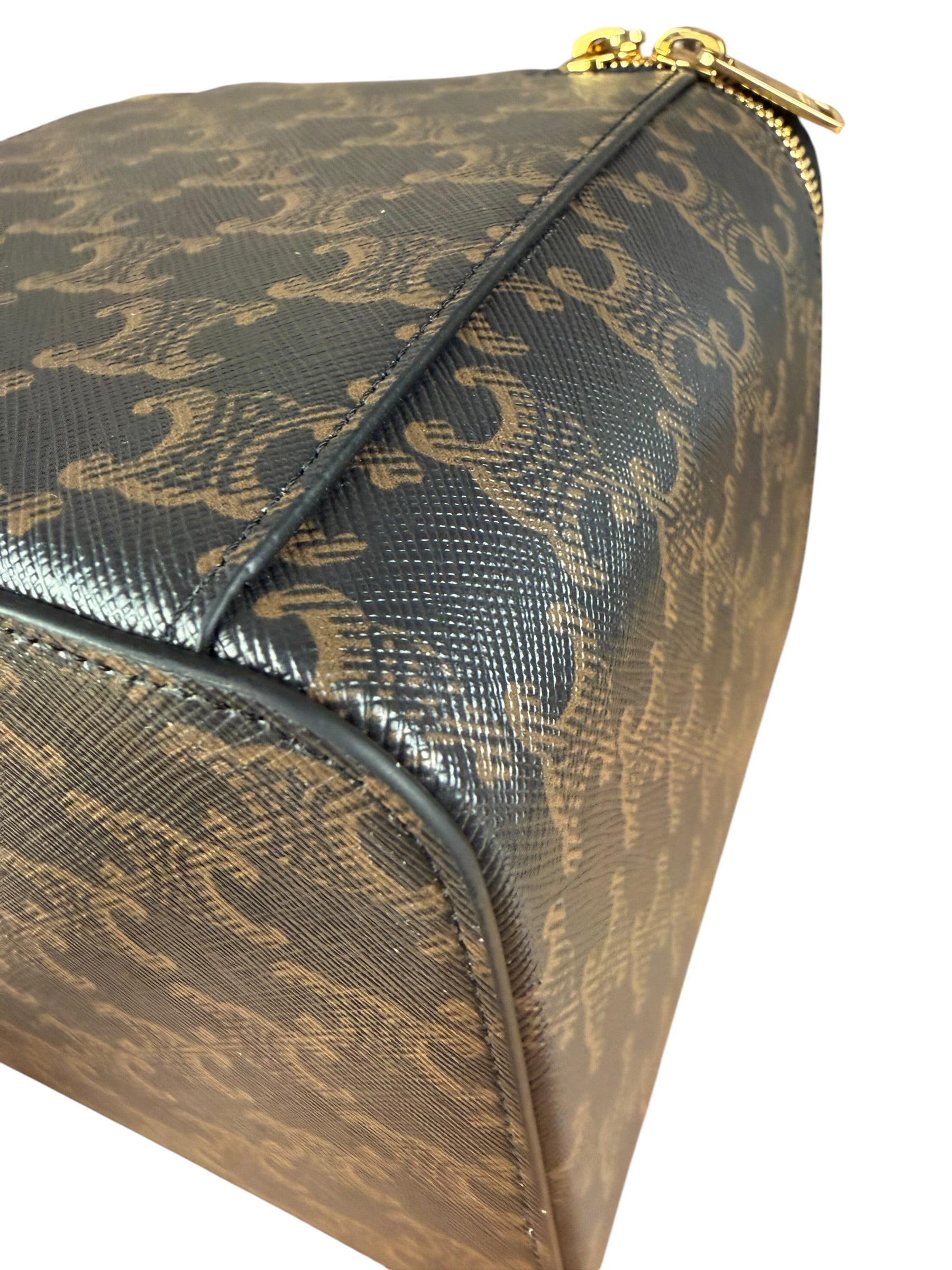 Celine Triomphe Square Vanity Case