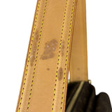 Louis Vuitton Monogram Viva City GM Handbag