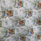 Gucci X Peter Rabbit Button Up Shirt