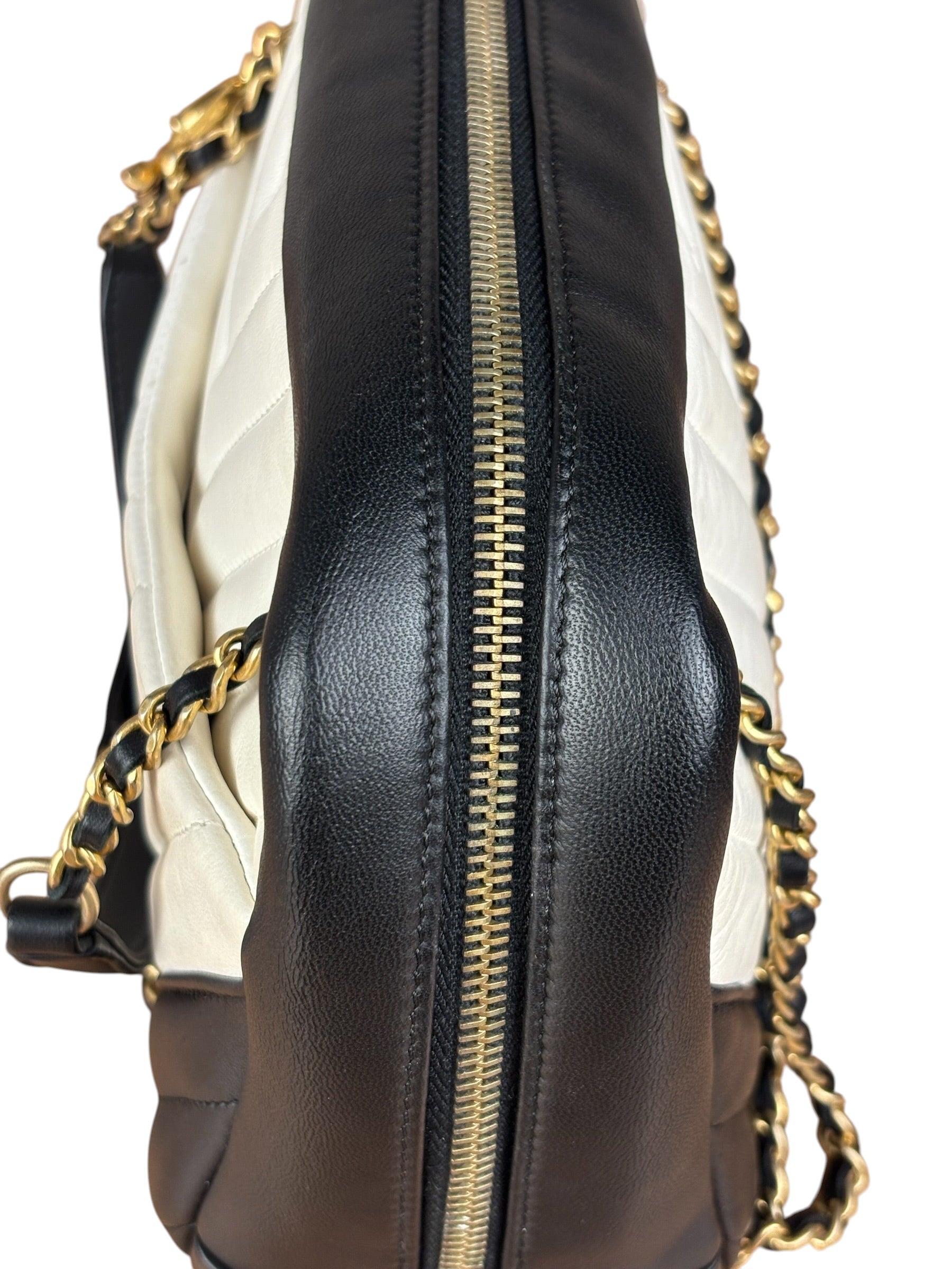 Chanel Bicolor Chevron V-Quilted Leather Camera Case 2014