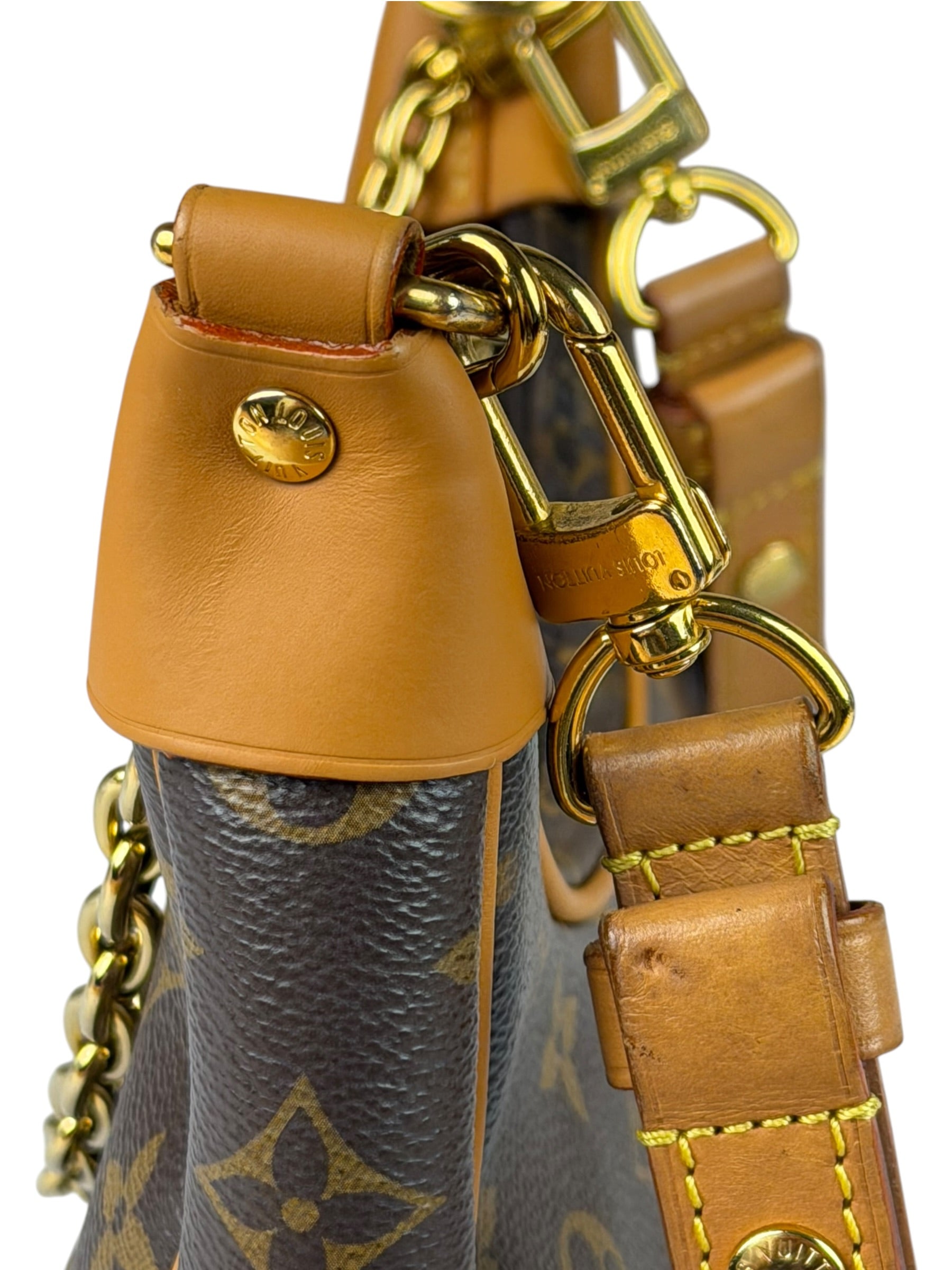 Louis Vuitton Monogram Loop Pochette