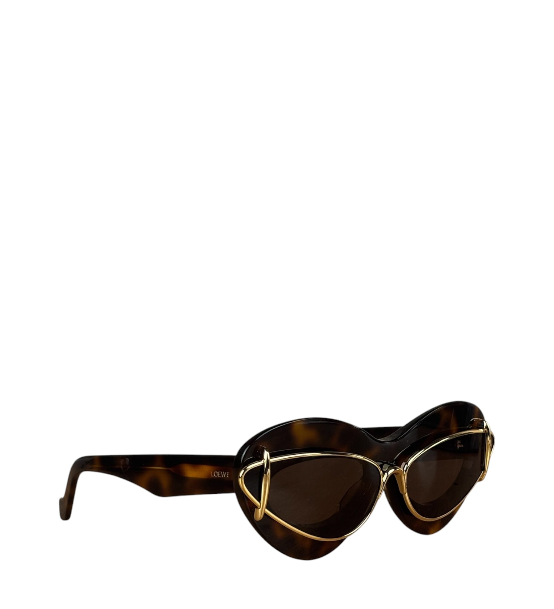 Loewe Double Frame Cat Eye Sunglasses LW401191