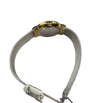 Skagen 2 Tone watch