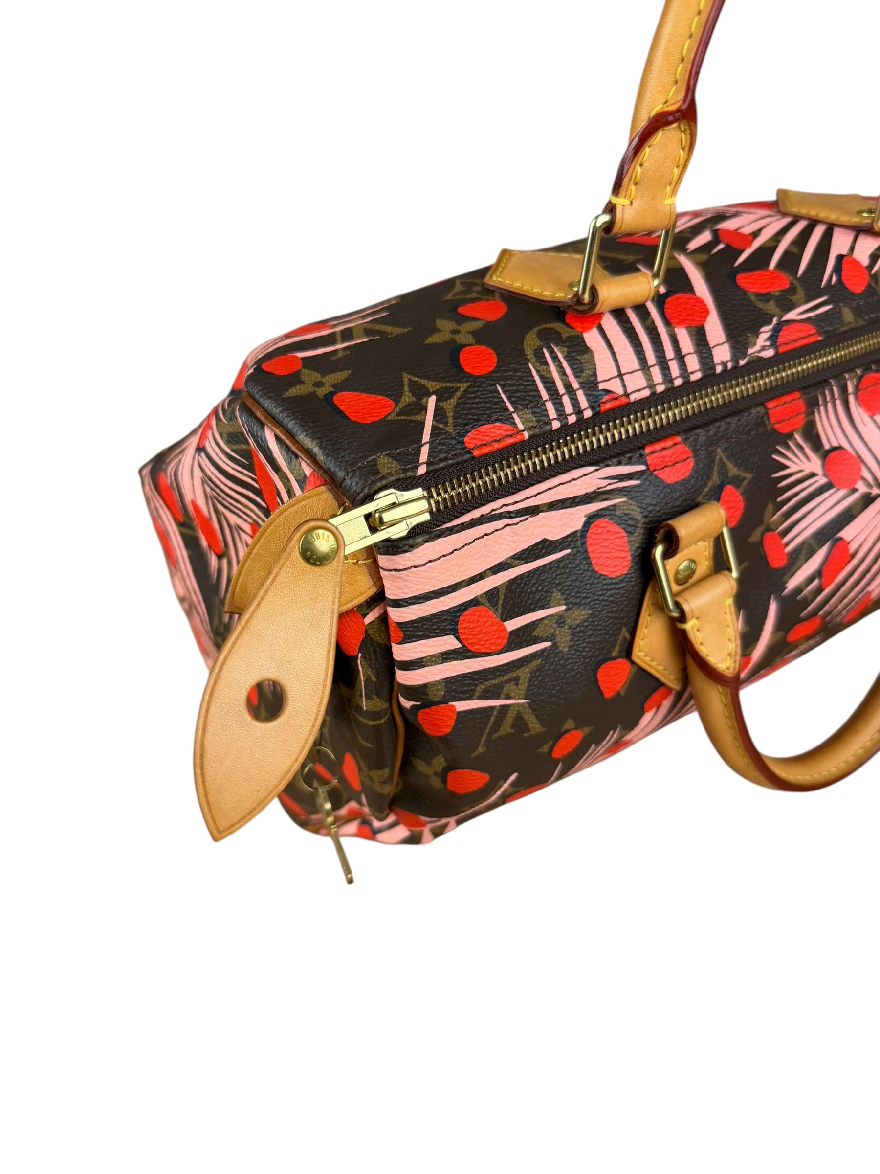 Louis Vuitton Limited Edition Jungle Dots Speedy 30