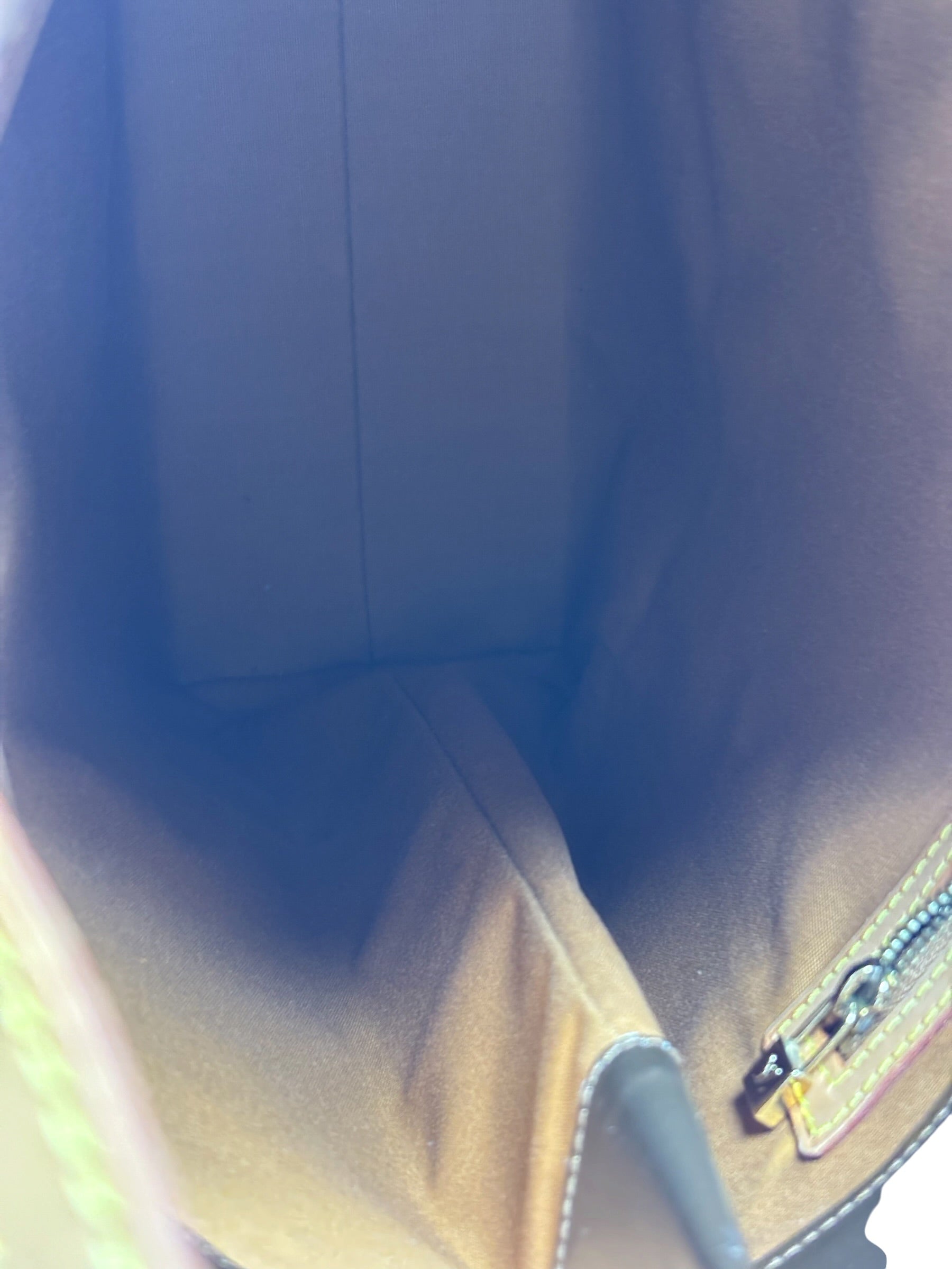 Louis Vuitton Bronze Vernis Reade Tote
