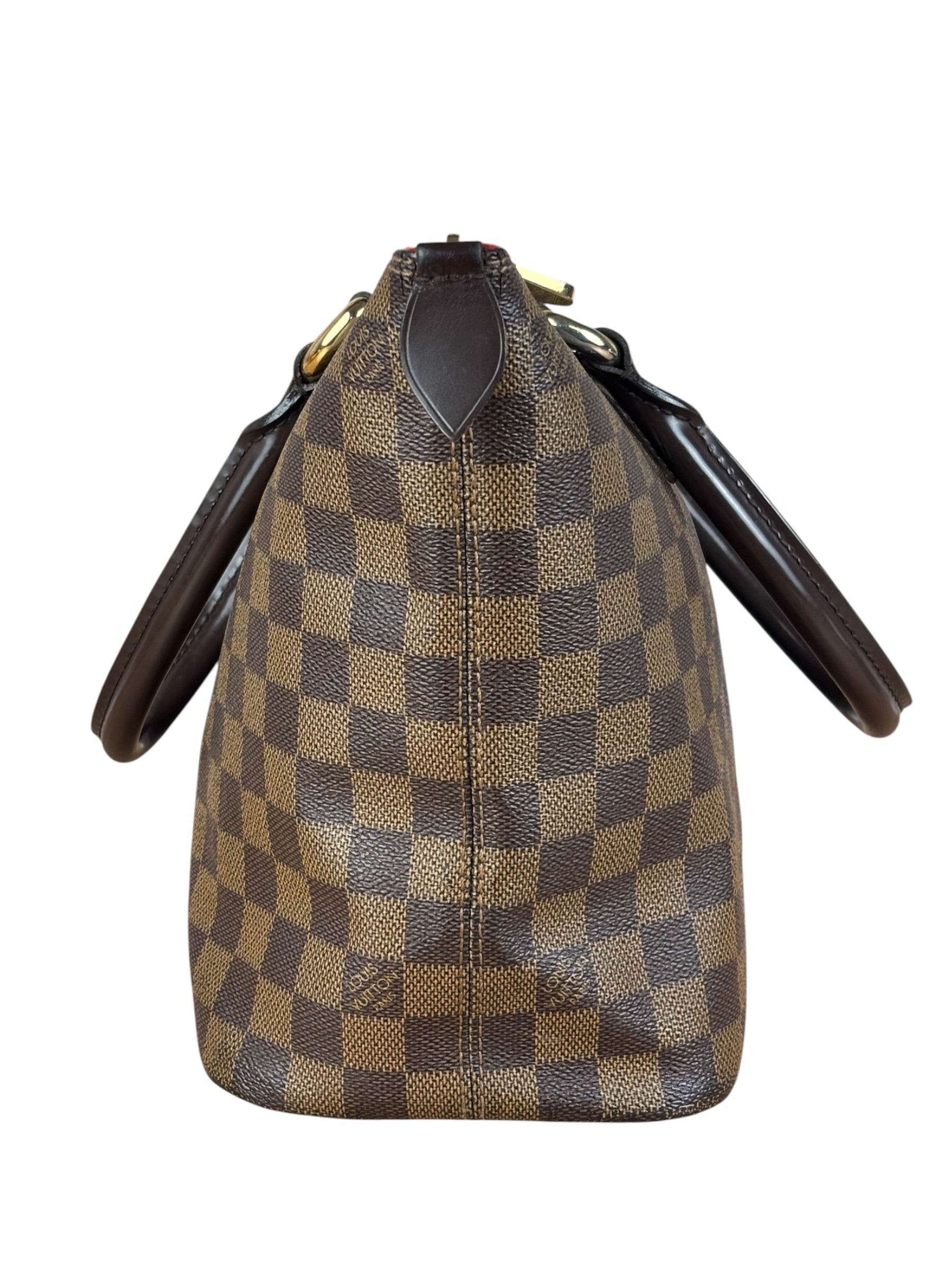 Louis Vuitton Damier Ebene Saleya Tote Bag