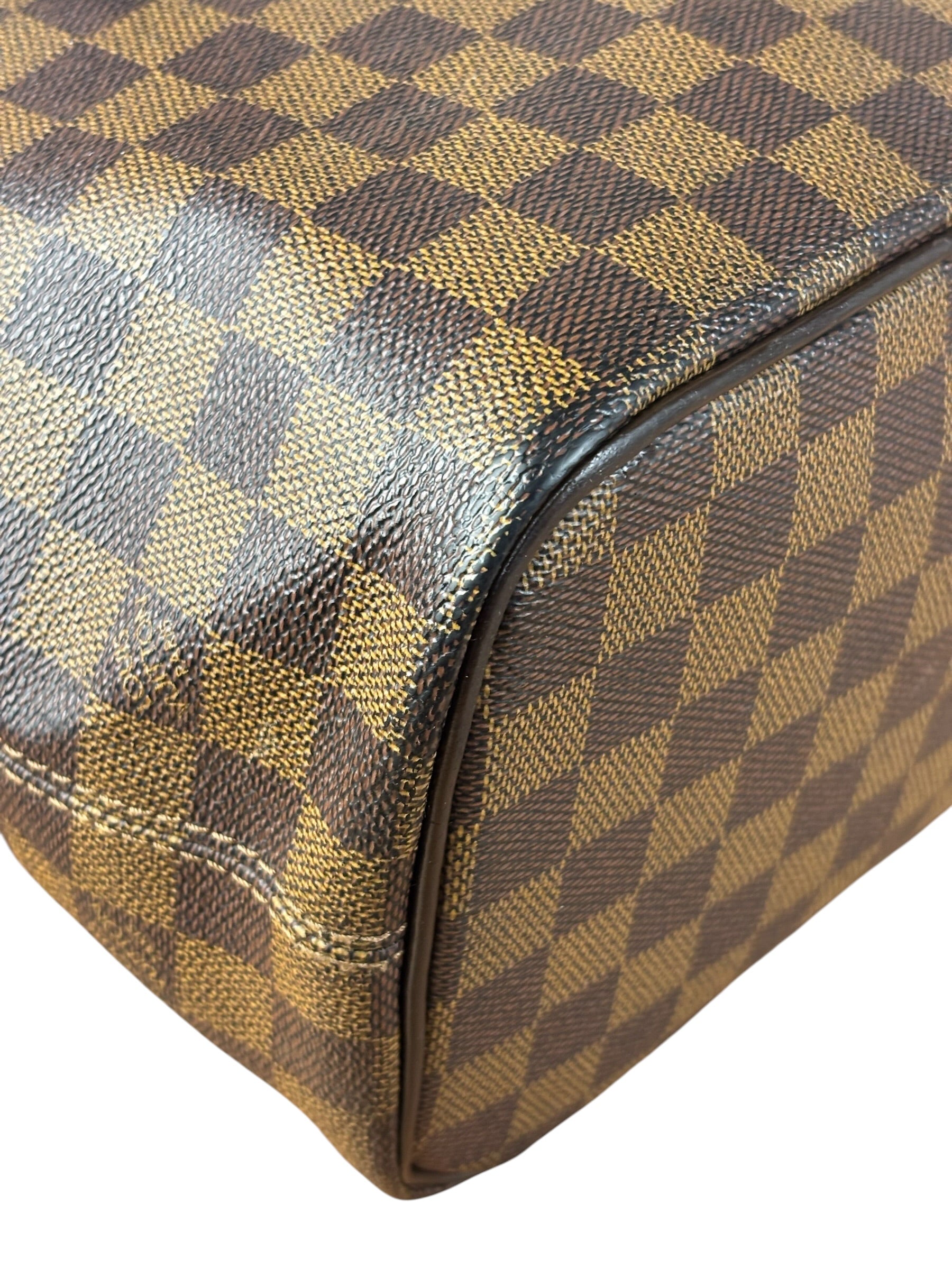 Louis Vuitton Damier Ebene Saleya Tote Bag