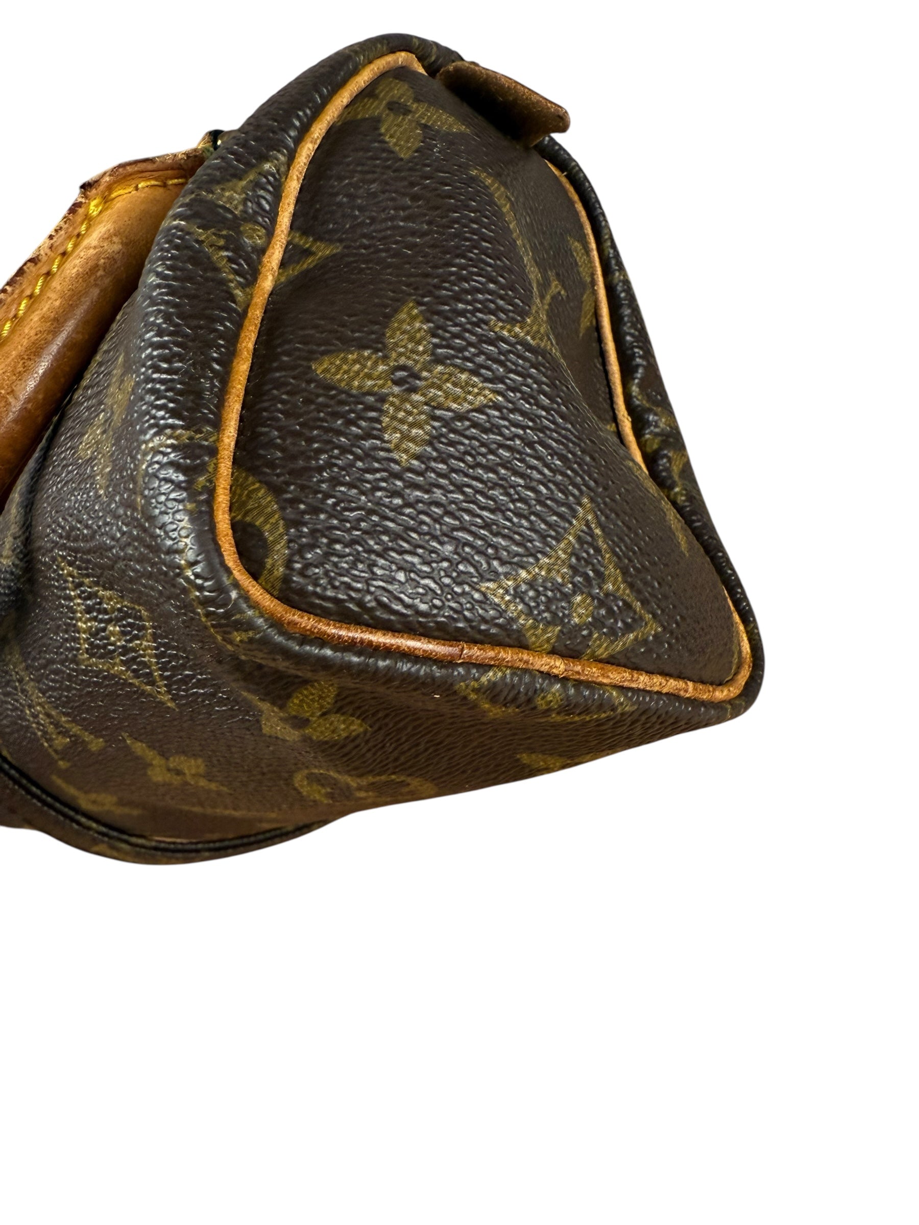 Louis Vuitton Monogram Nano Speedy Bag