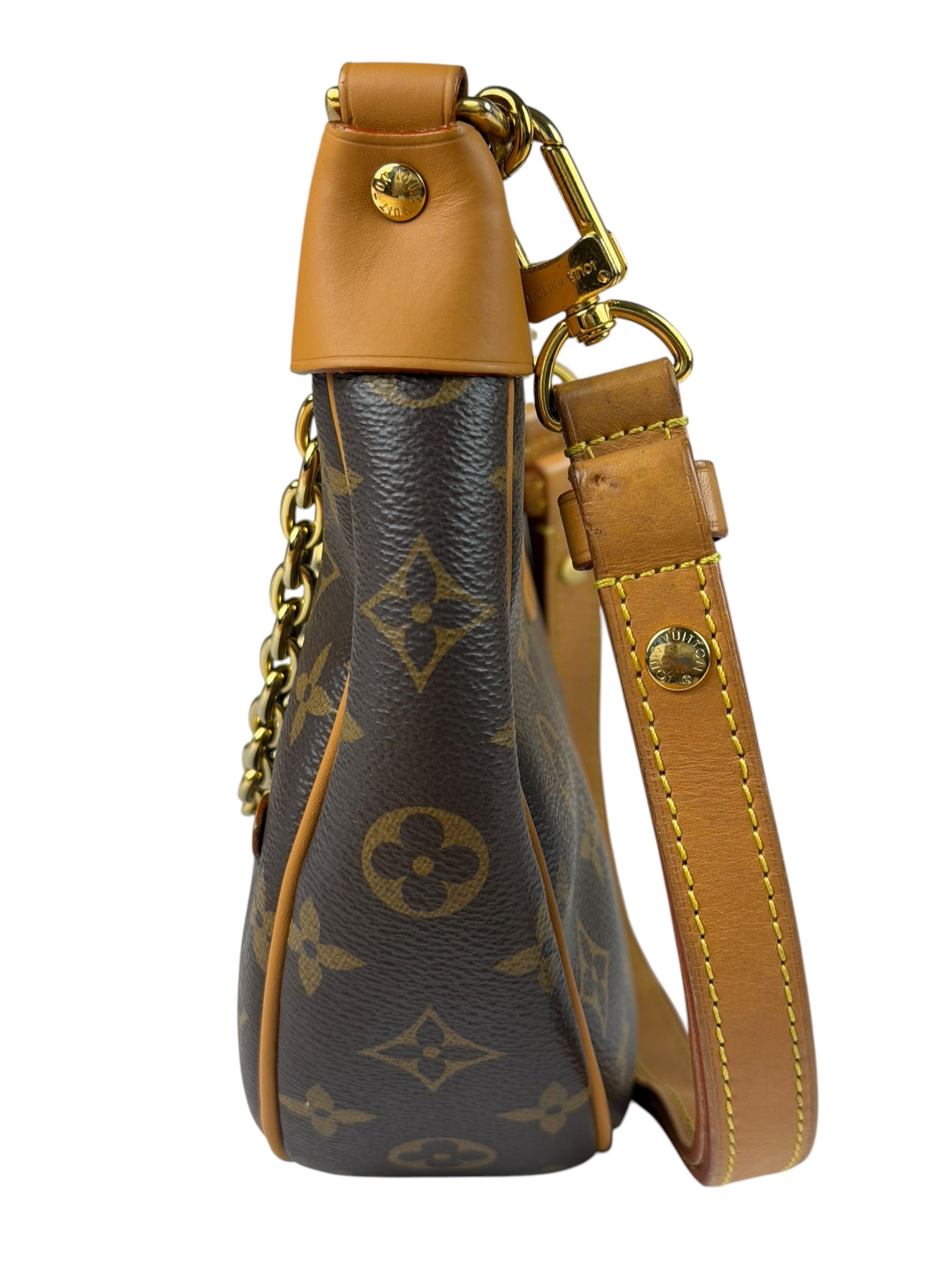 Louis Vuitton Monogram Loop Pochette