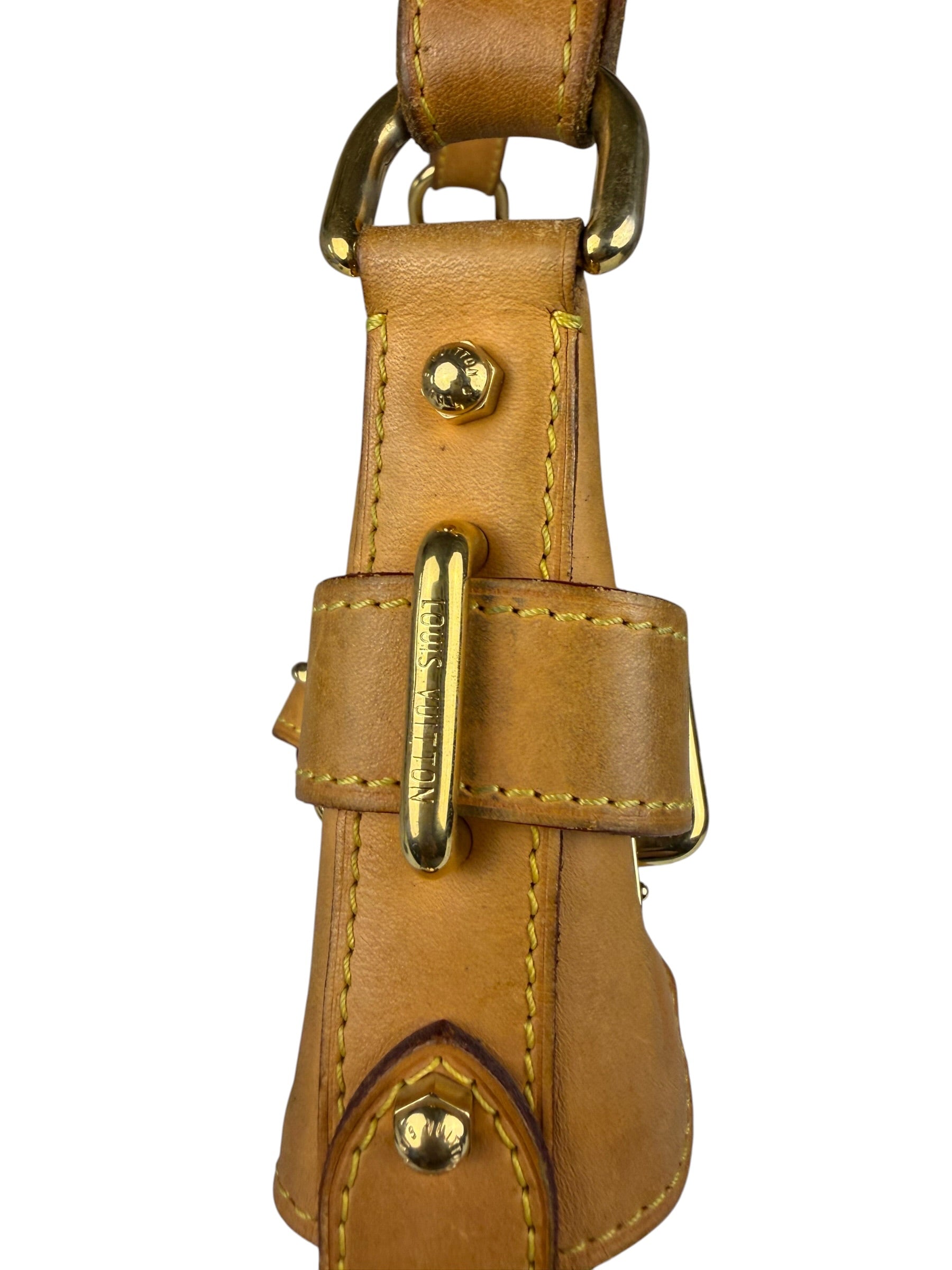 Louis Vuitton Murakami Monogram Greta Hobo Bag