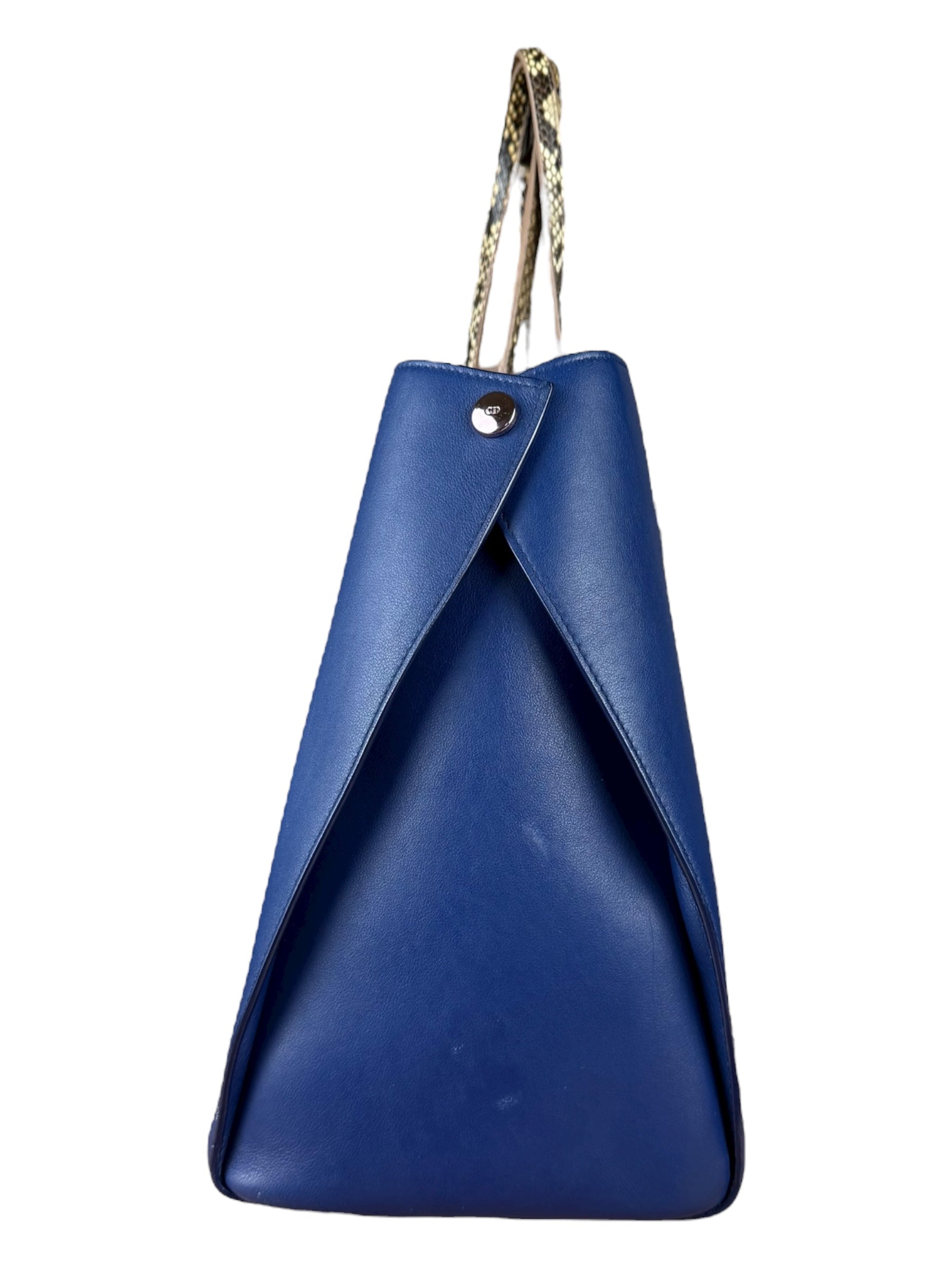 Christian Dior Python Trimmed Blue Addict Tote