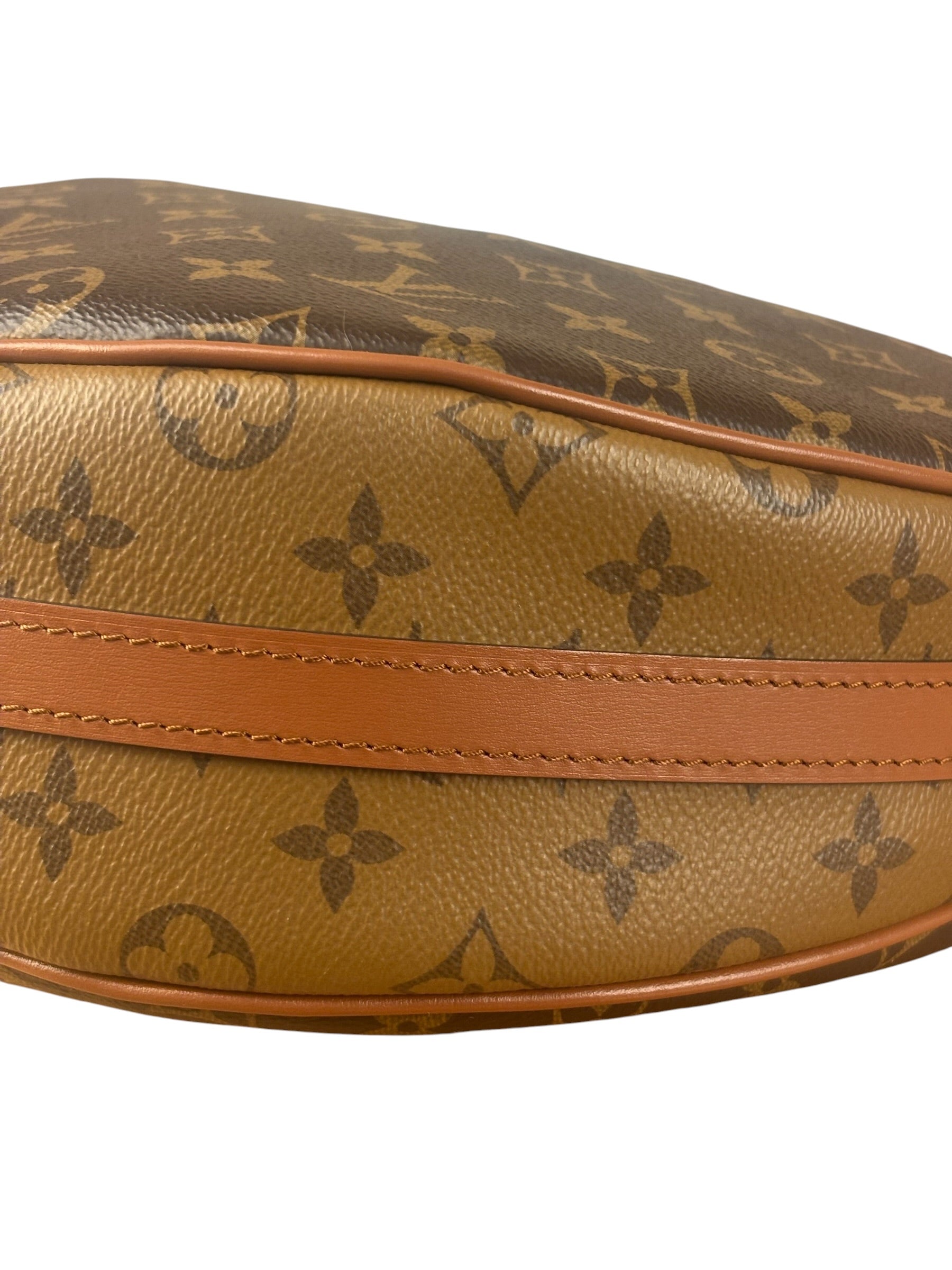 Louis Vuitton Reverse Monogram Loop Hobo
