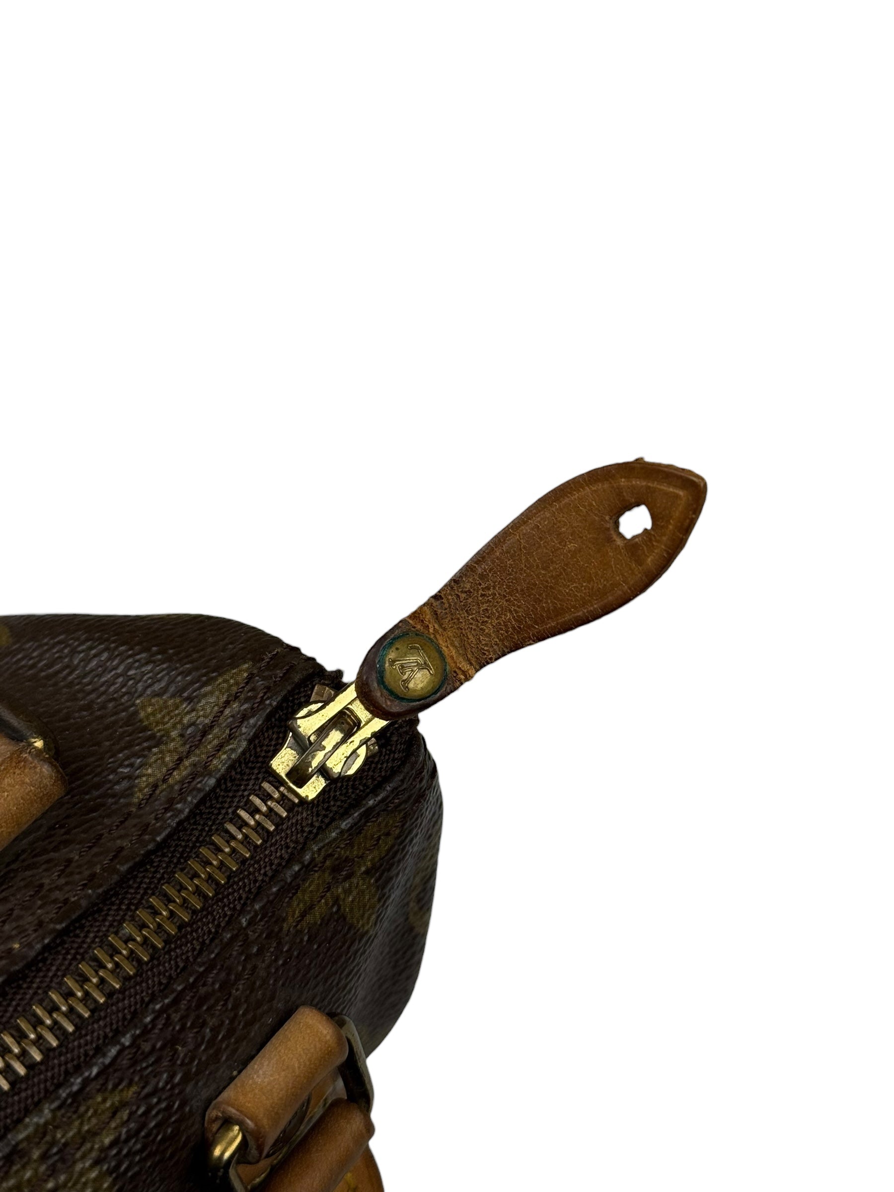 Louis Vuitton Monogram Nano Speedy Bag