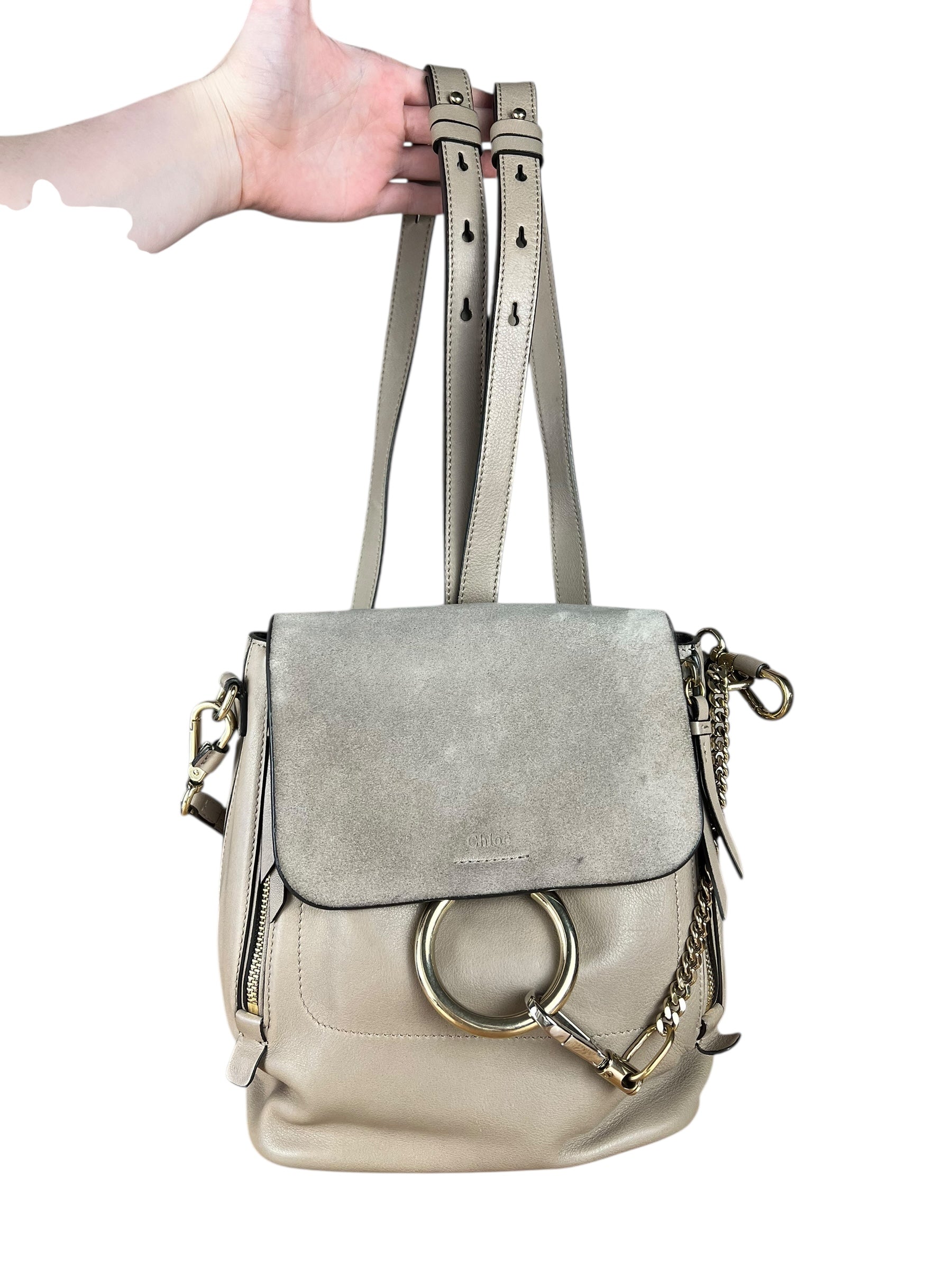 Chloe Faye Leather/Suede Backpack