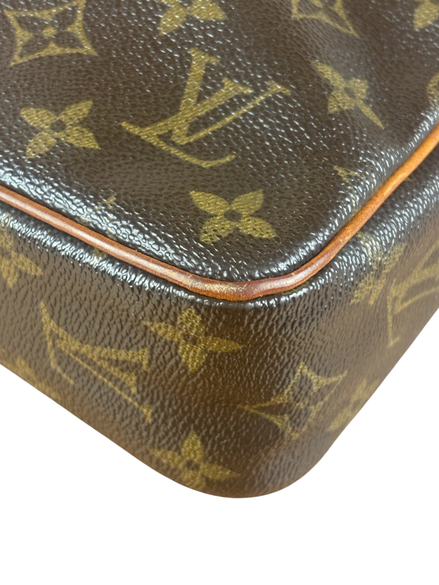 Louis Vuitton Canvas Monogram Pouch