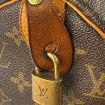 Louis Vuitton Monogram Speedy 25