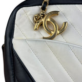 Chanel Bicolor Chevron V-Quilted Leather Camera Case 2014