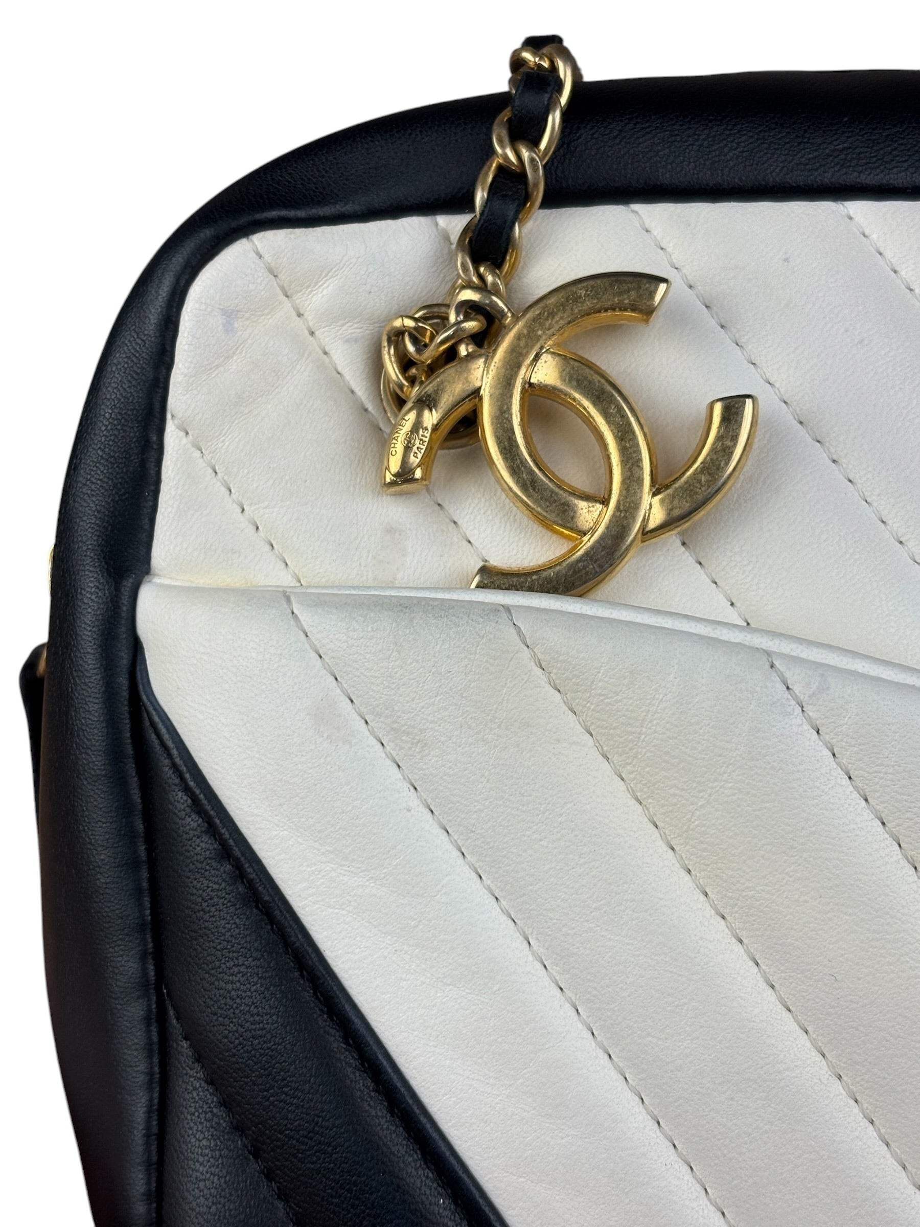 Chanel Bicolor Chevron V-Quilted Leather Camera Case 2014