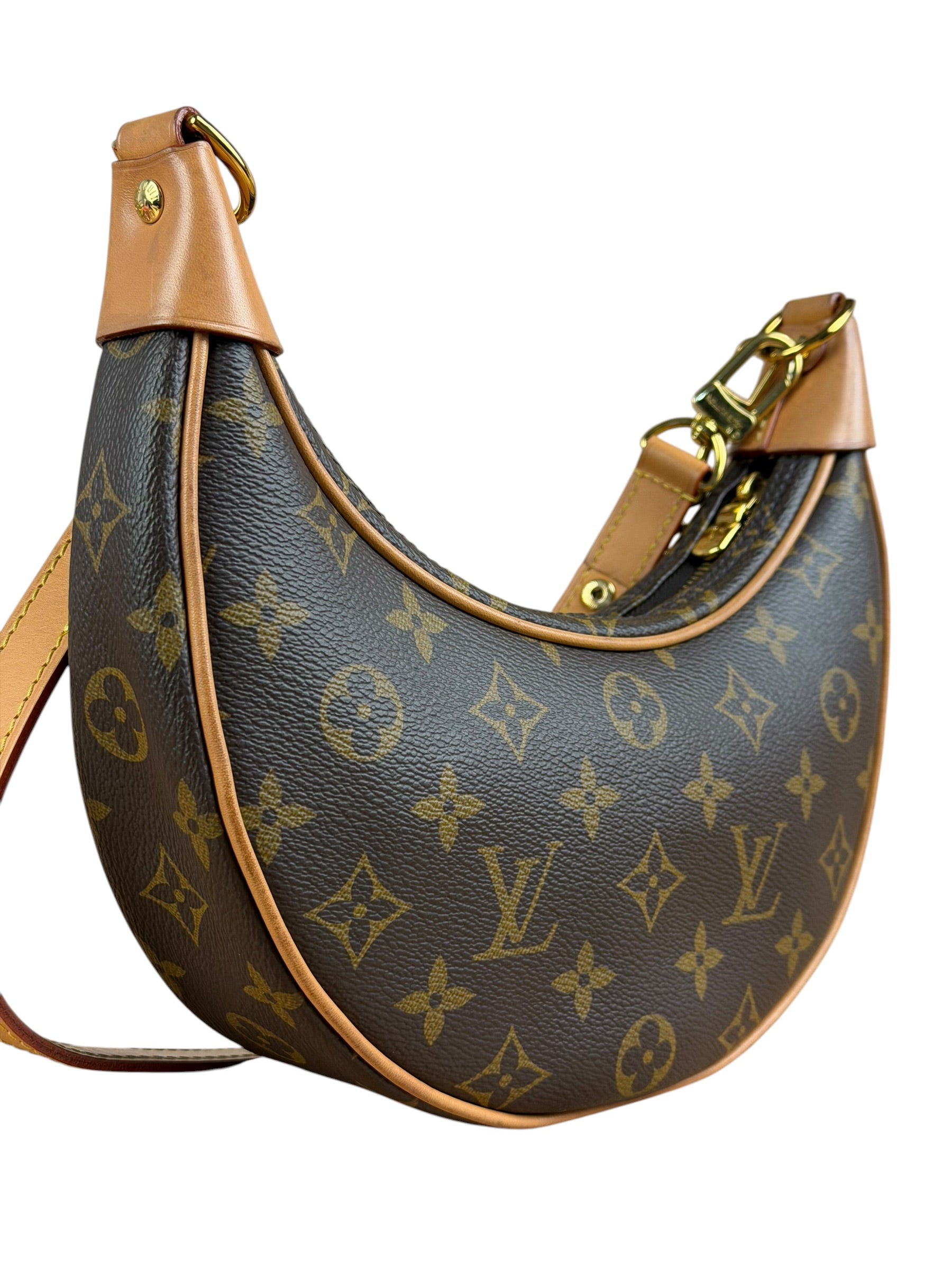 Louis Vuitton Monogram Loop Pochette