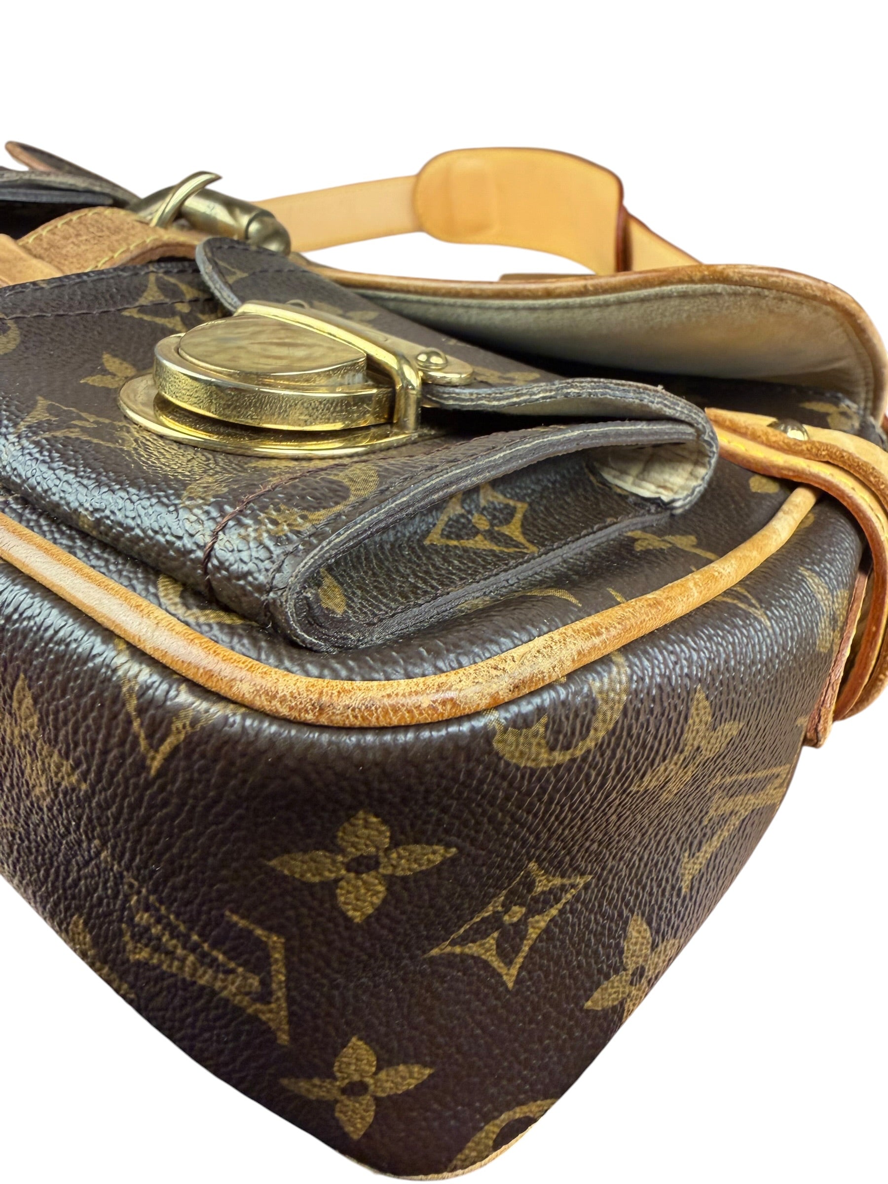Louis Vuitton Monogram Hudson Two-Way Bag PM
