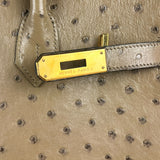 Hermes Birkin 35 Mousse Ostrich 2001