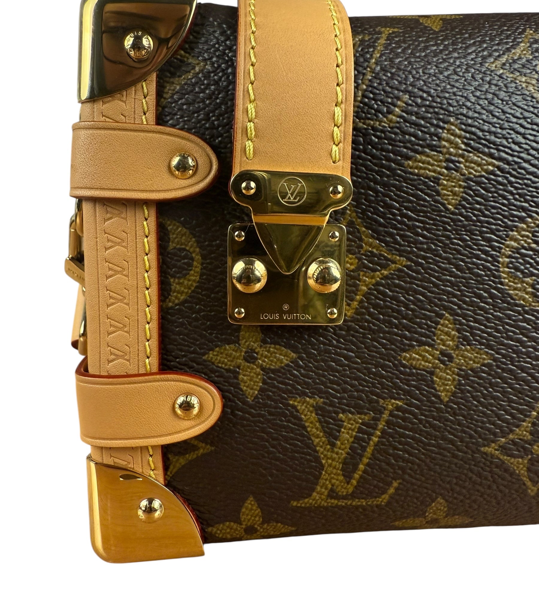 Louis Vuitton Monogram Side Trunk Bag