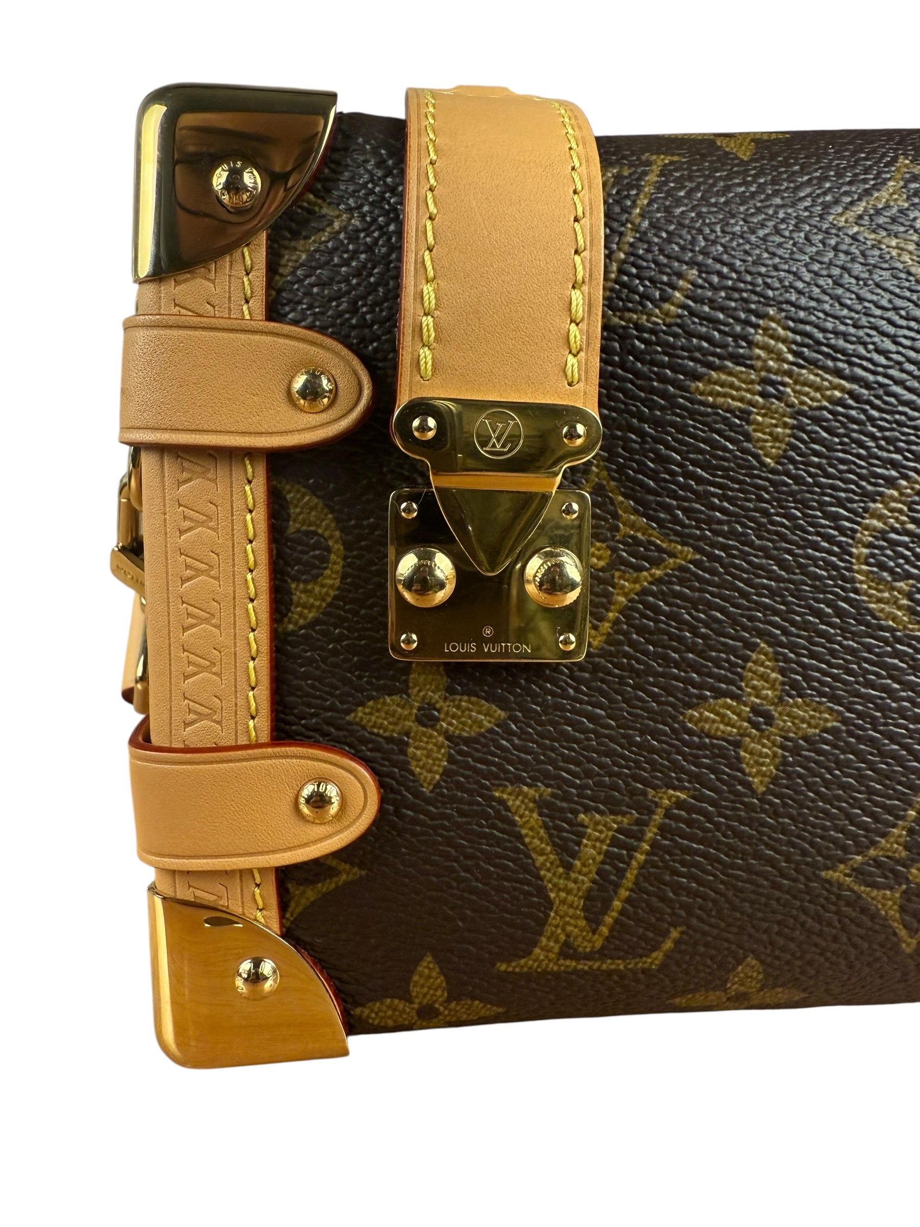 Louis Vuitton Monogram Side Trunk Bag