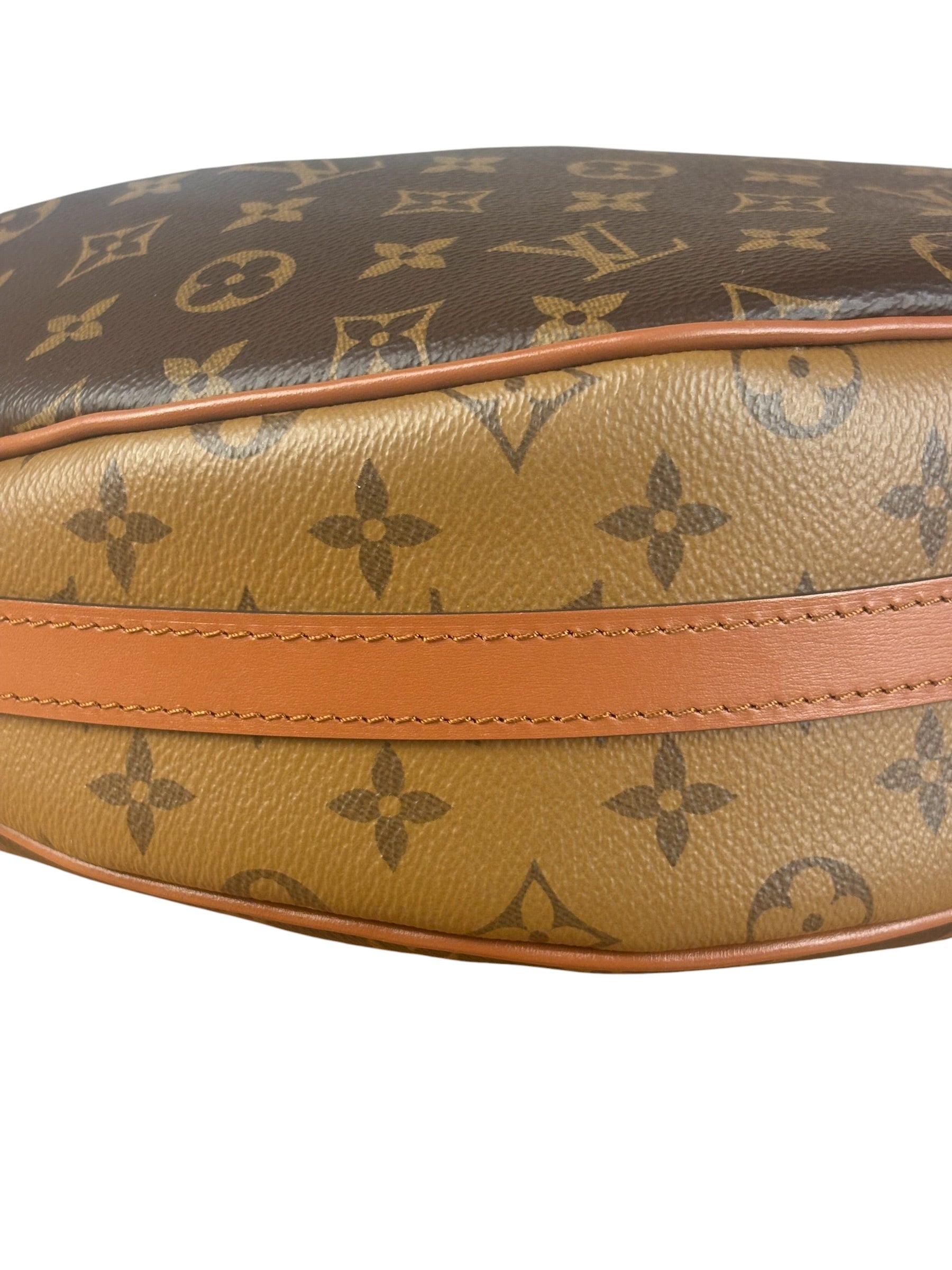 Louis Vuitton Reverse Monogram Loop Hobo