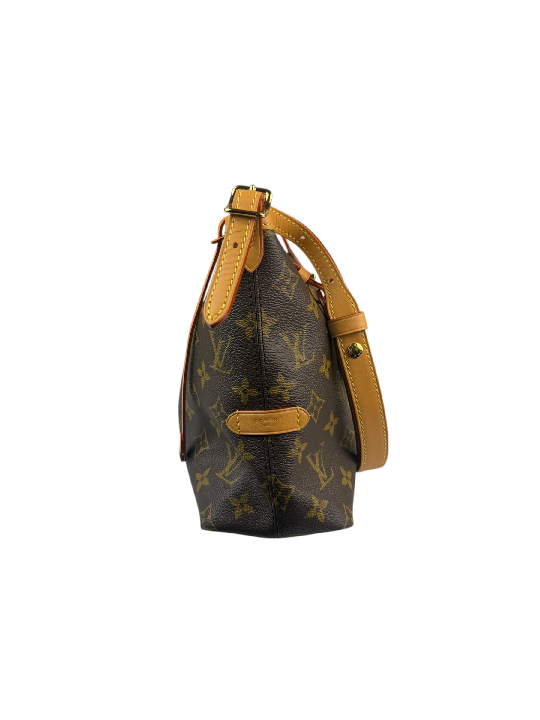 Louis Vuitton Monogram CarryAll Bag MM