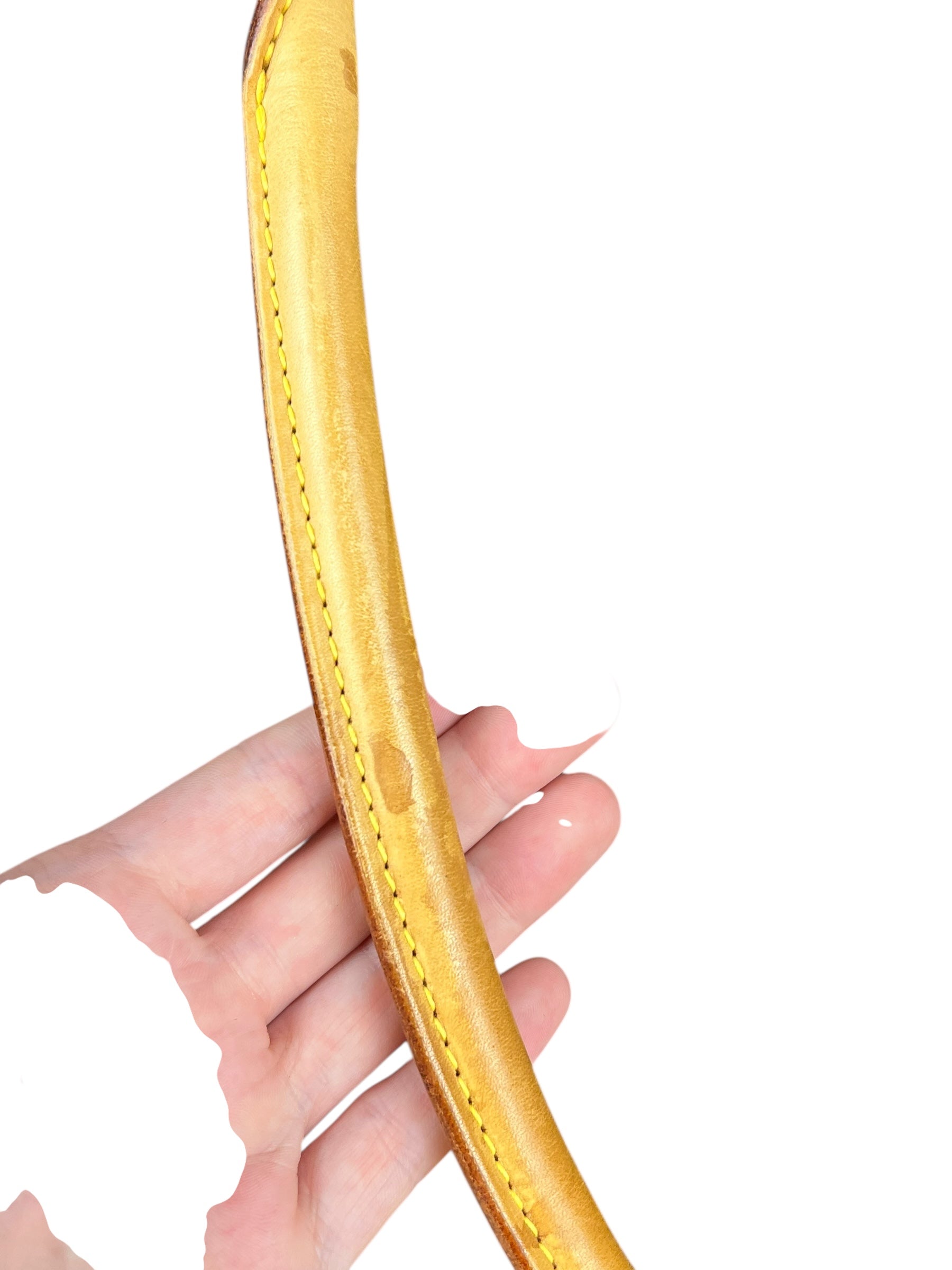 Louis Vuitton Monogram Looping GM