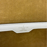 Louis Vuitton Monogram Match Papillon Trunk Two-Way Bag