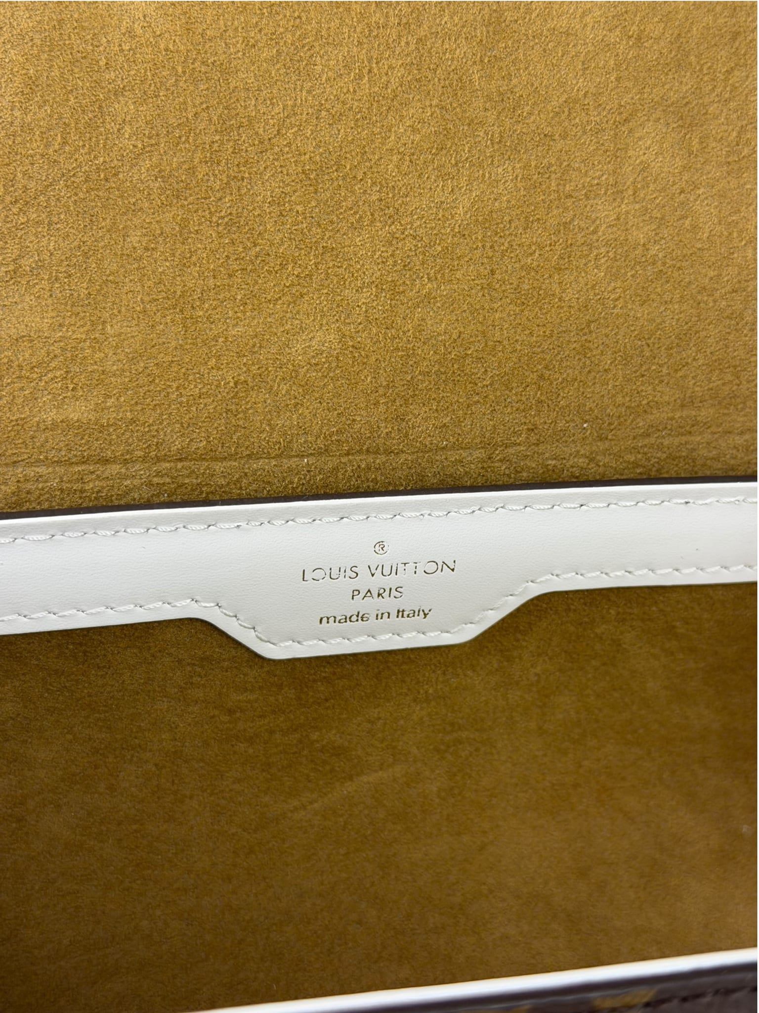 Louis Vuitton Monogram Match Papillon Trunk Two-Way Bag