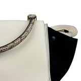 Celine Trapeze Leather 2Way Python Handle Handbag