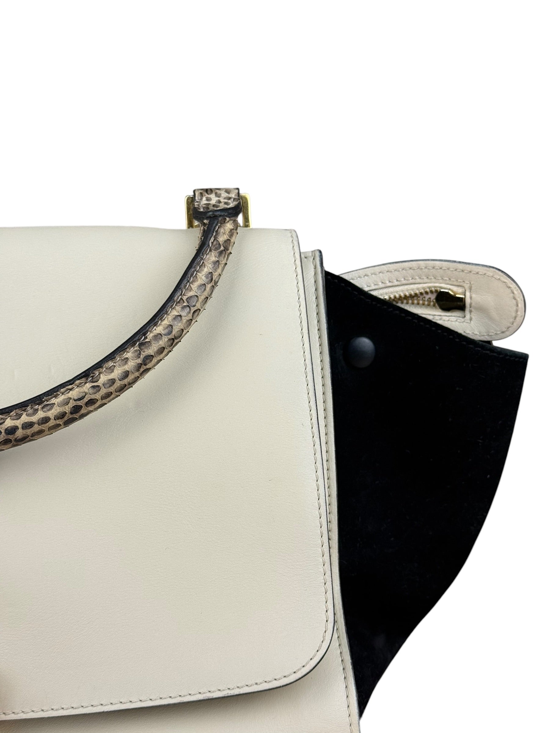 Celine Trapeze Leather 2Way Python Handle Handbag