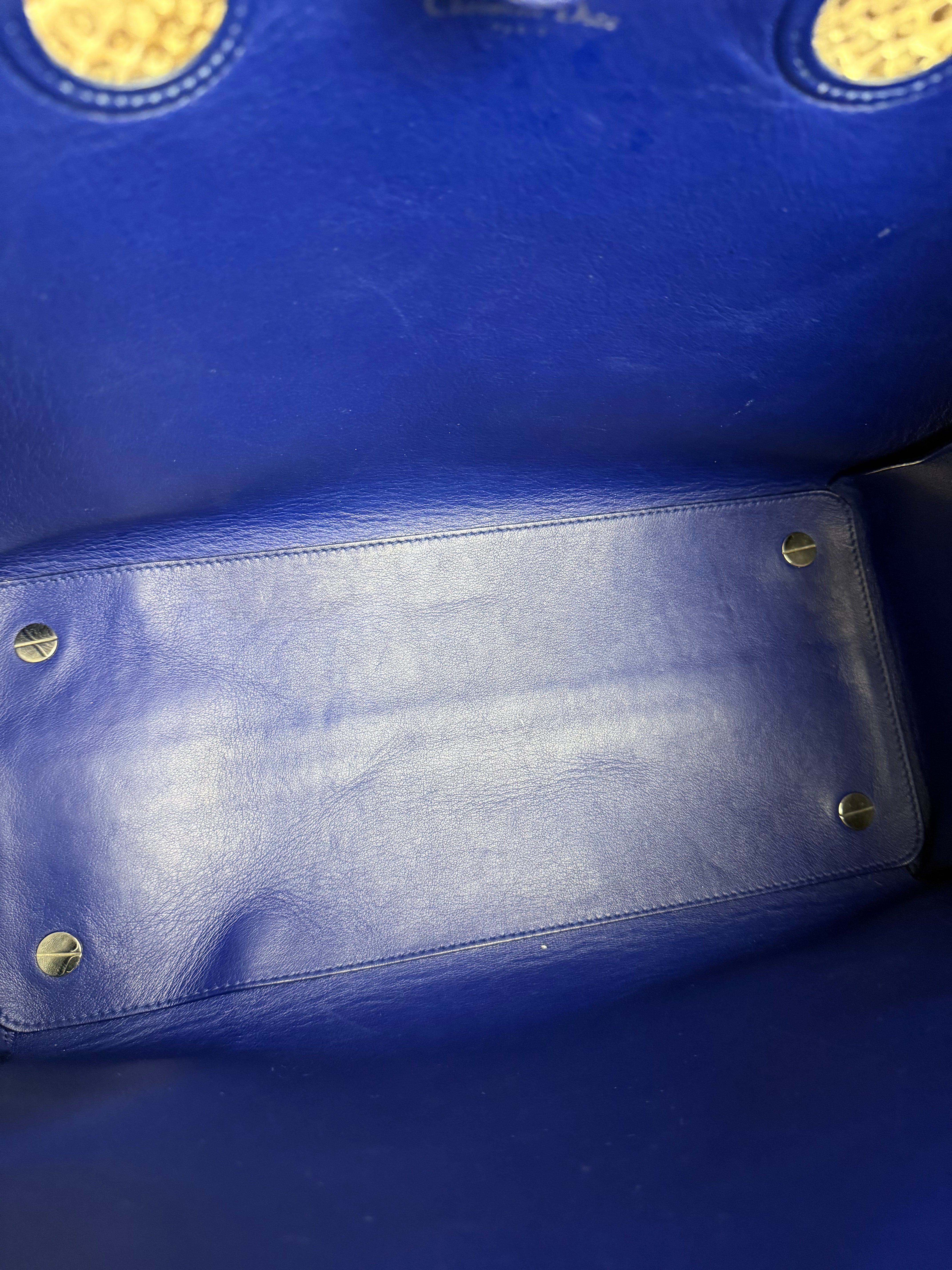 Christian Dior Python Trimmed Blue Addict Tote