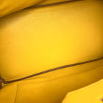 Hermes Birkin 35 Cushvel Havana x Jaune