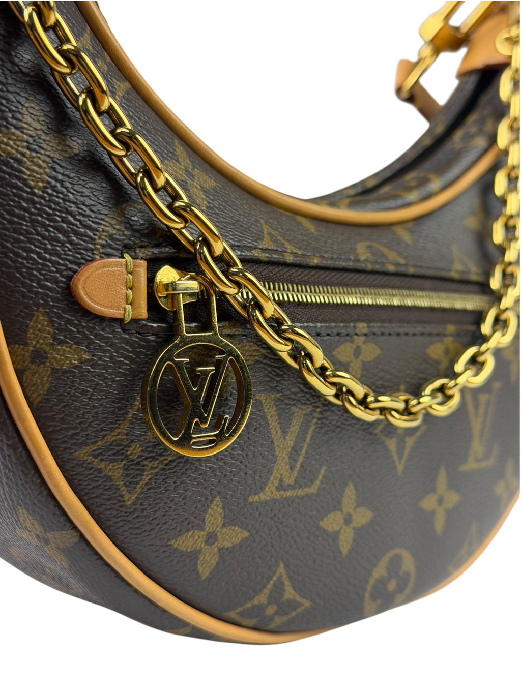 Louis Vuitton Monogram Loop Pochette