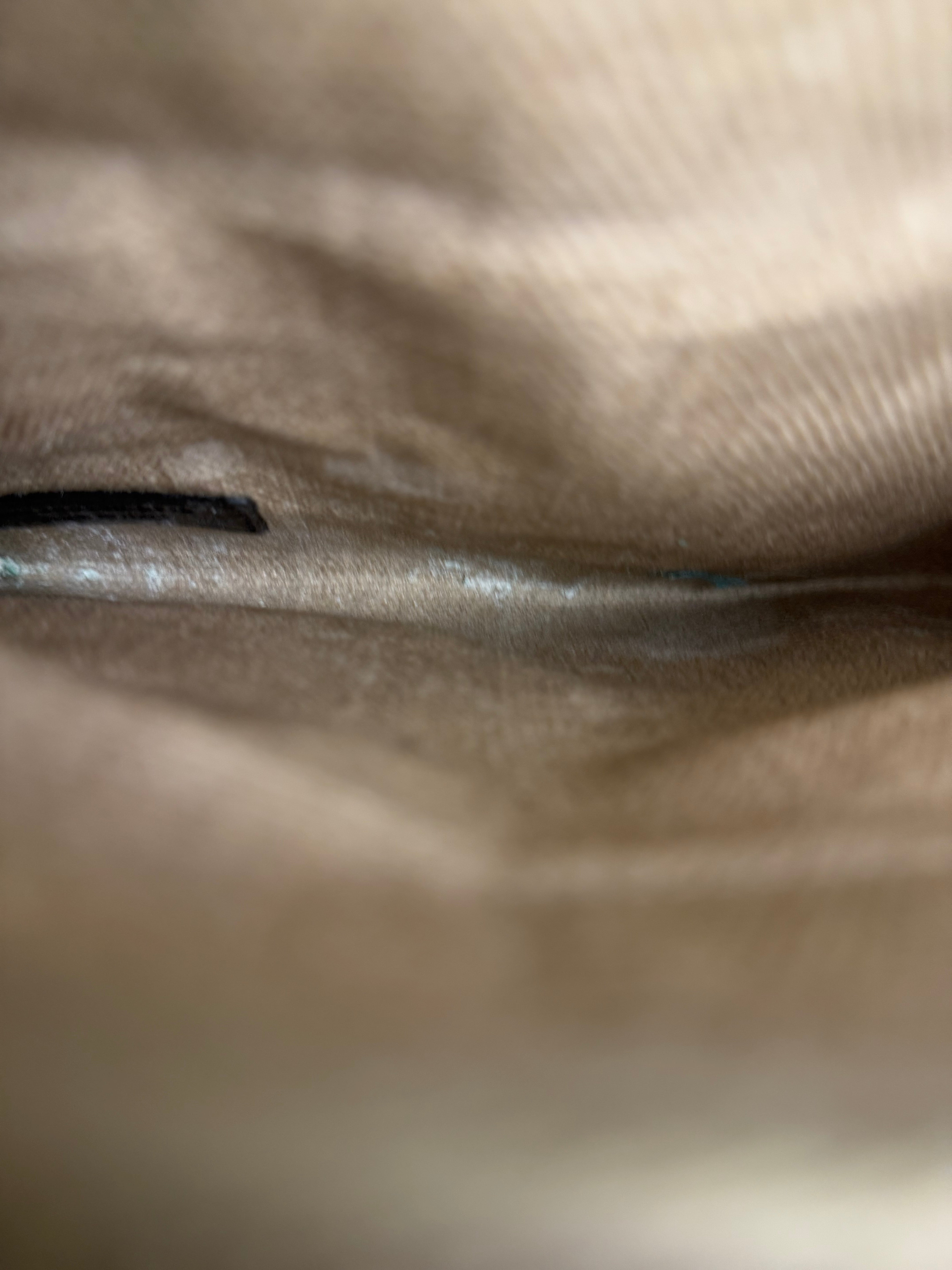 Saint Laurent Beige Canvas Rive Gauche Tote Bag