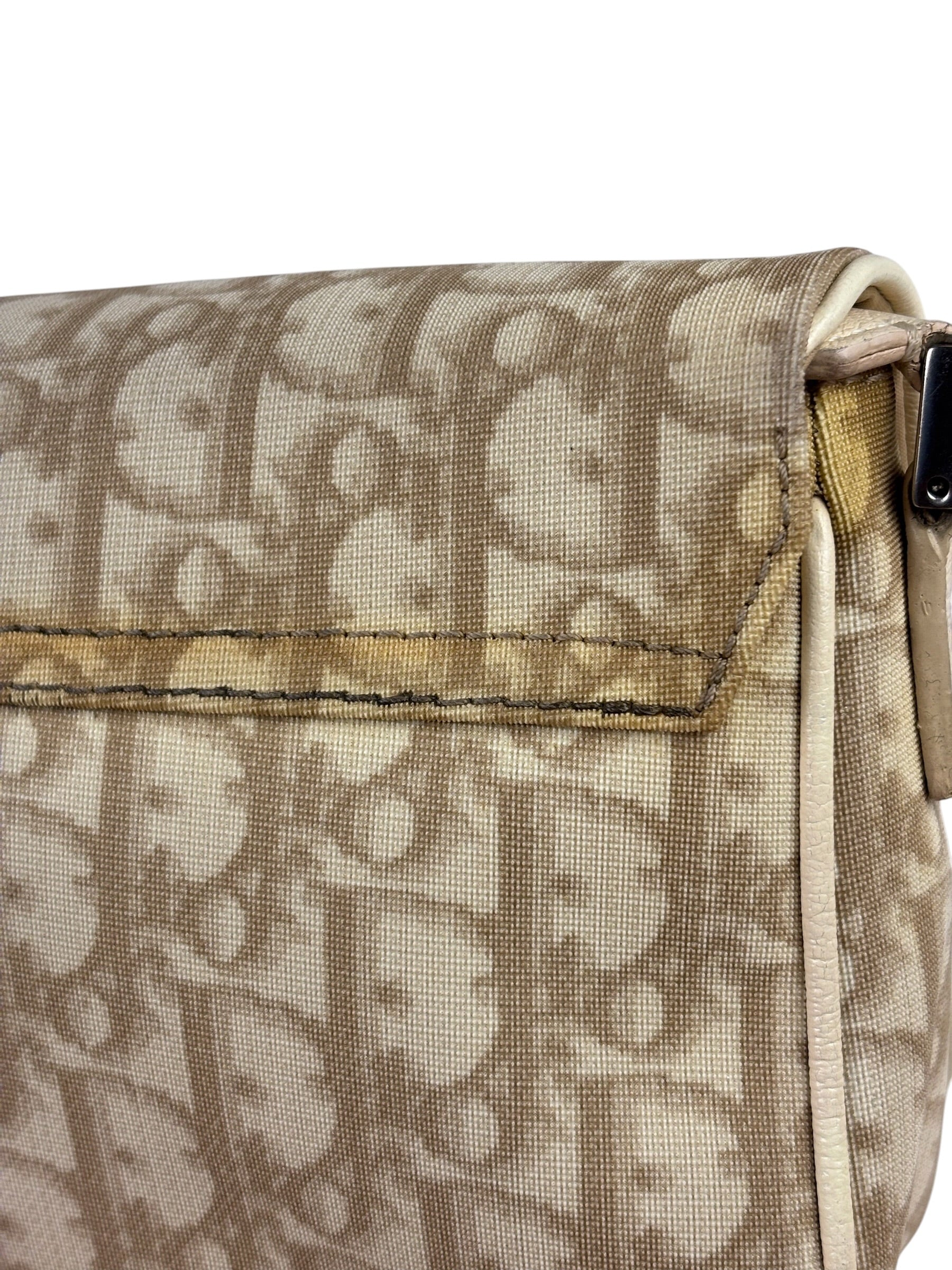 Christian Dior Trotter Flower Embroidered Flap Crossbody