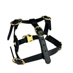 Gucci Black Leather Dog Harness