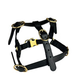 Gucci Black Leather Dog Harness